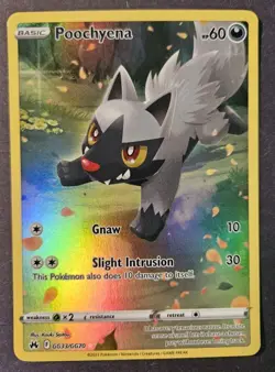 Holo Poochyena GG33/GG70 Ultra Rare Crown Zenith Pokemon TCG Near Mint - Image 1