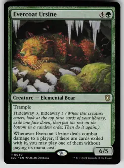 Evercoat Ursine Normal R Commander: Bloomburrow 30 NM - Image 1