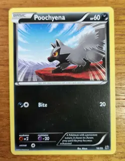 Poochyena Pokemon Card, Kalos Starter Set 16/39 - Image 1