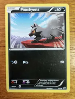 Poochyena Pokemon Card, Kalos Starter Set 16/39 - Image 1