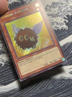 Yu-Gi-Oh! Winged Kuriboh MZMU-EN064 Maze of Muertos 1st Edition, HOLO BLEED, NM - Image 2