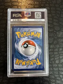 2016 POKEMON XY BLACK STAR PROMO SHINY MEGA GYARADOS #XY143 MAGIKARP-HOLO PSA 8 - Image 2