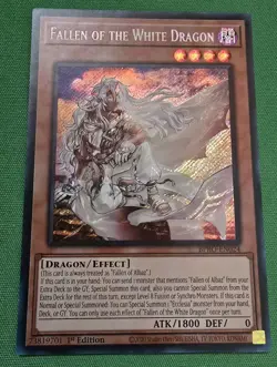 Yugioh Fallen of the White Dragon BPRO-EN024 Burst Protocol 1st Edition - Image 1