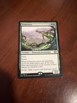 Endurance Modern Horizons 2 Regular - Image 1
