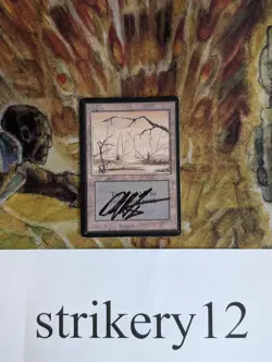 1x Swamp #295 – Beta – Signed by Dan Frazier – MTG - Image 1