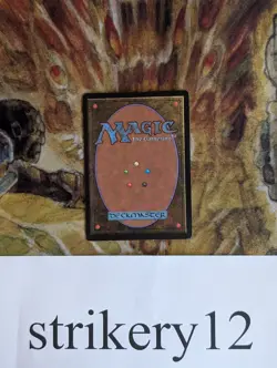 1x Swamp #295 – Beta – Signed by Dan Frazier – MTG - Image 2