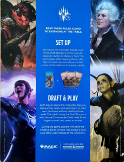 Magic The Gathering: Baldur's Gate Wilderness (Oversized Promo) - Image 2