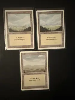 MTG Card Lot / Island x3, Mountain x3, Plains x3, Swamp x3, Forest x2 - Image 4