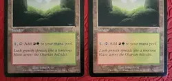 MTG Mossfire Valley x2 LP ~Odyssey (Magic the Gathering)*Free Shipping* - Image 4