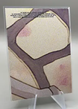 Pokemon The First Movie Sticker TOPPS INSERT Card CHARMANDER BLUE - Image 2