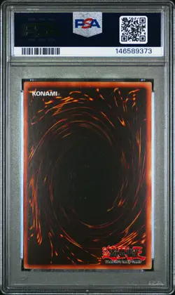 2025 YU-GI-OH! RP02-RETRO PACK 2 #EN097 DRAGON MASTER KNIGHT PSA 8 - Image 2