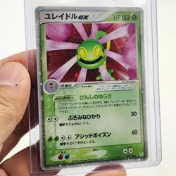 Cradily ex HOLO 009/080 Pokemon Japanese - Magma VS Aqua: Two Ambitions NrMt - Image 3