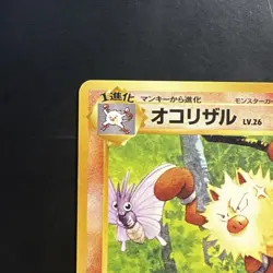 Pokemon Vintage Southern Islands Primeape Japanese Rare Promo - Image 3