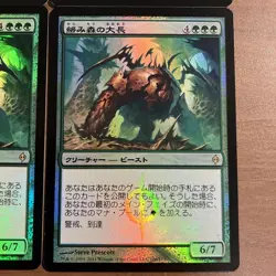 MTG Tangling Forest Foil Card Set of 4 Magic The Gathering Play Used - Image 5