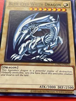 3x Blue-Eyes White Dragon | SDK Art | LDK2-ENK01 | NM | Common | YuGiOh! - Image 2