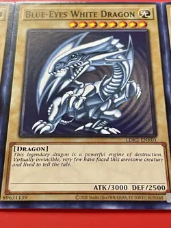 3x Blue-Eyes White Dragon | SDK Art | LDK2-ENK01 | NM | Common | YuGiOh! - Image 4