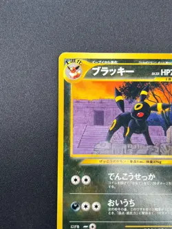 [NM] Umbreon Pokemon Card Japanese No.197 Neo Premium File Vintage 10A17 - Image 4