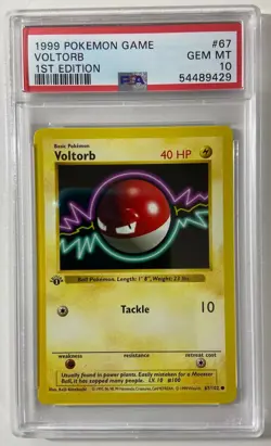 Pokemon - Base Set 1st Edit. 1999 Shadowless "VOLTROB" PSA 10 Gem/Mint #67/102. - Image 1