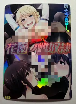 SEXY HEROINE WAIFU Hanazono no Mesudorei ACG PREMIUM HOLO CARD NM - Image 1