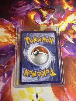 First Partner Illustration Squirtle Promo Full Art Holo 039 Pokemon SHIPS NOW! - Image 2