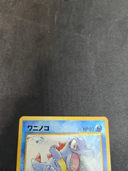 Pokemon Neo Premium File 1 Totodile Croconaw Feraligatr Evolution Set Jap Mint - Image 3