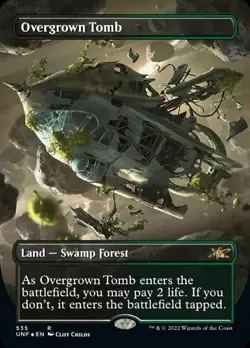 Overgrown Tomb - Borderless - Galaxy Foil NM, English MTG Unfinity - Image 1