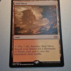 Arid Mesa x 1 - MTG - NM+ - MH2 244/303 - - Image 1
