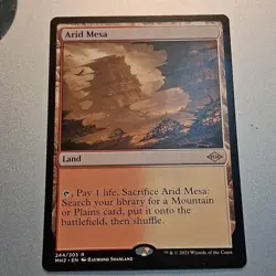 Arid Mesa x 1 - MTG - NM+ - MH2 244/303 - - Image 2