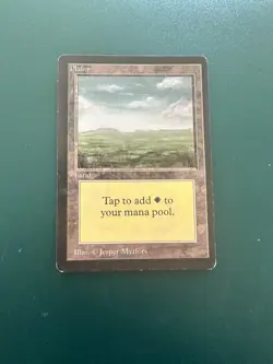 MtG Plains: v.3 (Dark) Beta LP ACTUAL PHOTOS! - Image 1