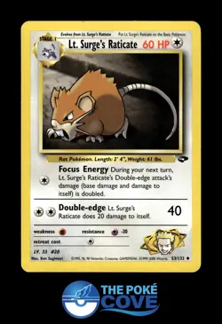 Lt. Surge's Raticate 53/132 | Gym Challenge Unlimited | Pokemon Uncommon | LP - Image 1