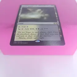 MTG LP Magic the Gathering Fetid Heath Double Masters Magic The Gathering - Image 3