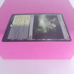 MTG LP Magic the Gathering Fetid Heath Double Masters Magic The Gathering - Image 5