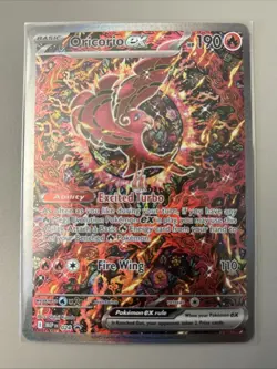 Oricorio Black Star Promo (024) - Mega Evolutions - Pokemon TCG - NM - Image 1