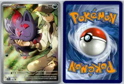 N's Zorua 189 Holo Promo Scarlet & Violet Promo Pokemon NM - Image 3