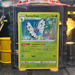 Butterfree Fusion Strike Holo Pokemon TCG 003/264 Sword & Shield Rare - Image 1
