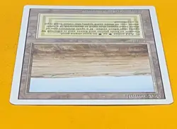 MTG SAVANNAH Revised (OldManMTG 013-225) - Image 3