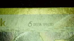 Marowak Delta Species 10/113 Stamped Pokemon EX Delta Species Reverse Holo LP/MP - Image 5