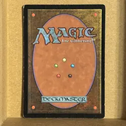 MTG ~ 4x Swamp (A #204)(B #205)(C #206)(D #207) ~ POR Portal ~ Played Set - Image 3