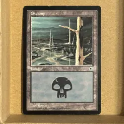 MTG ~ 4x Swamp (A #204)(B #205)(C #206)(D #207) ~ POR Portal ~ Played Set - Image 4