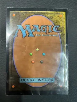 MTG Dandan Secret Lair Deck - Image 5