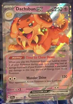 Dachsbun ex 067/142, Double Rare, Stellar Crown, Pokemon TCG, Pack Fresh, NM+ - Image 1