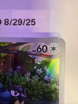 Pokemon TCG Rookidee Full Art Holo Card 225/193 Paldea Evolved Illustration Rare - Image 2