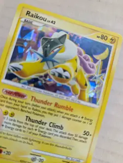 Raikou HOLO BLEED 16/132 - 2007 Pokemon Diamond & Pearl - Secret Wonders LP - Image 2