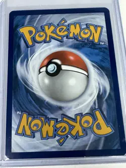 Pokemon TCG Pelipper Paldea Evolves 022 Black Star Promo Rare NM - Image 2