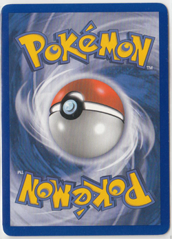 Charmeleon 3/12 XY Trainer Kit 2: Plusle & Minun Pokemon Card - Image 2