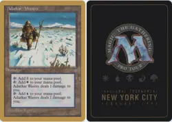 Adarkar Wastes - Michael Locanto - 1996 ~ Near Mint Pro Tour F MTG Magic Ultimat - Image 1