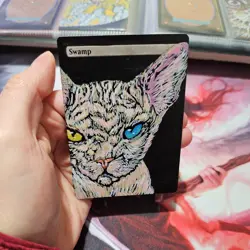 Hand Painted MTG Swamp Hairless Cat - Image 1