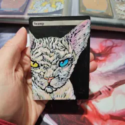 Hand Painted MTG Swamp Hairless Cat - Image 4