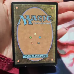 Hand Painted MTG Swamp Hairless Cat - Image 5