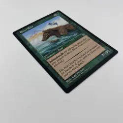 MTG River Bear Portal Second Age Magic The Gathering TCG Card - Image 3